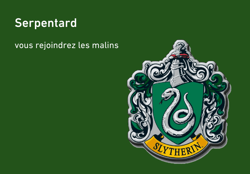 Harry Potter Serpentard