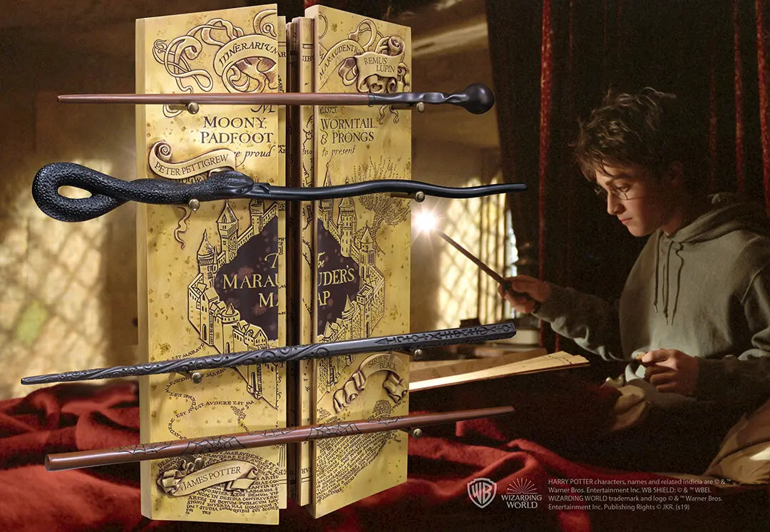 Présentoir 4 baguettes Harry Potter La carte du maraudeur