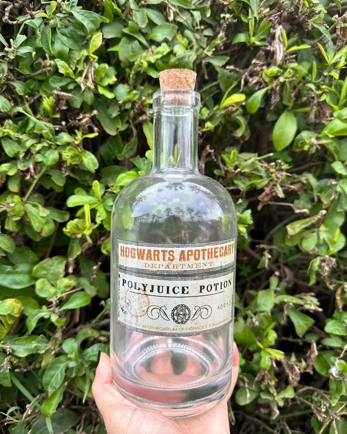 Set bouteille et verres Potion Harry Potter - Geek Store