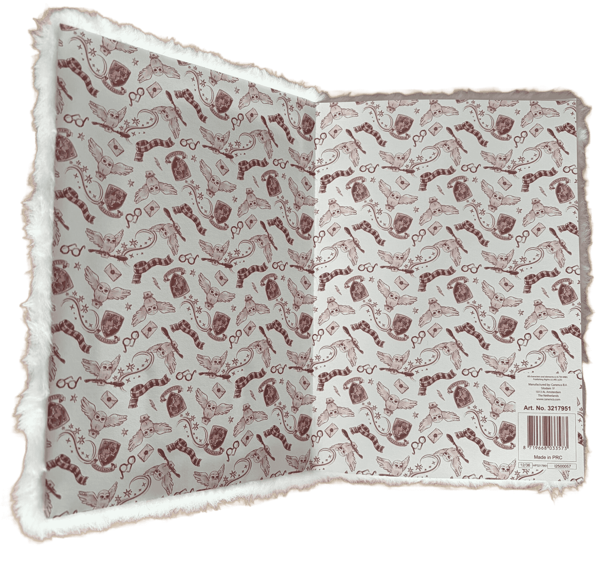 Carnet A5 Harry Potter Hedwig