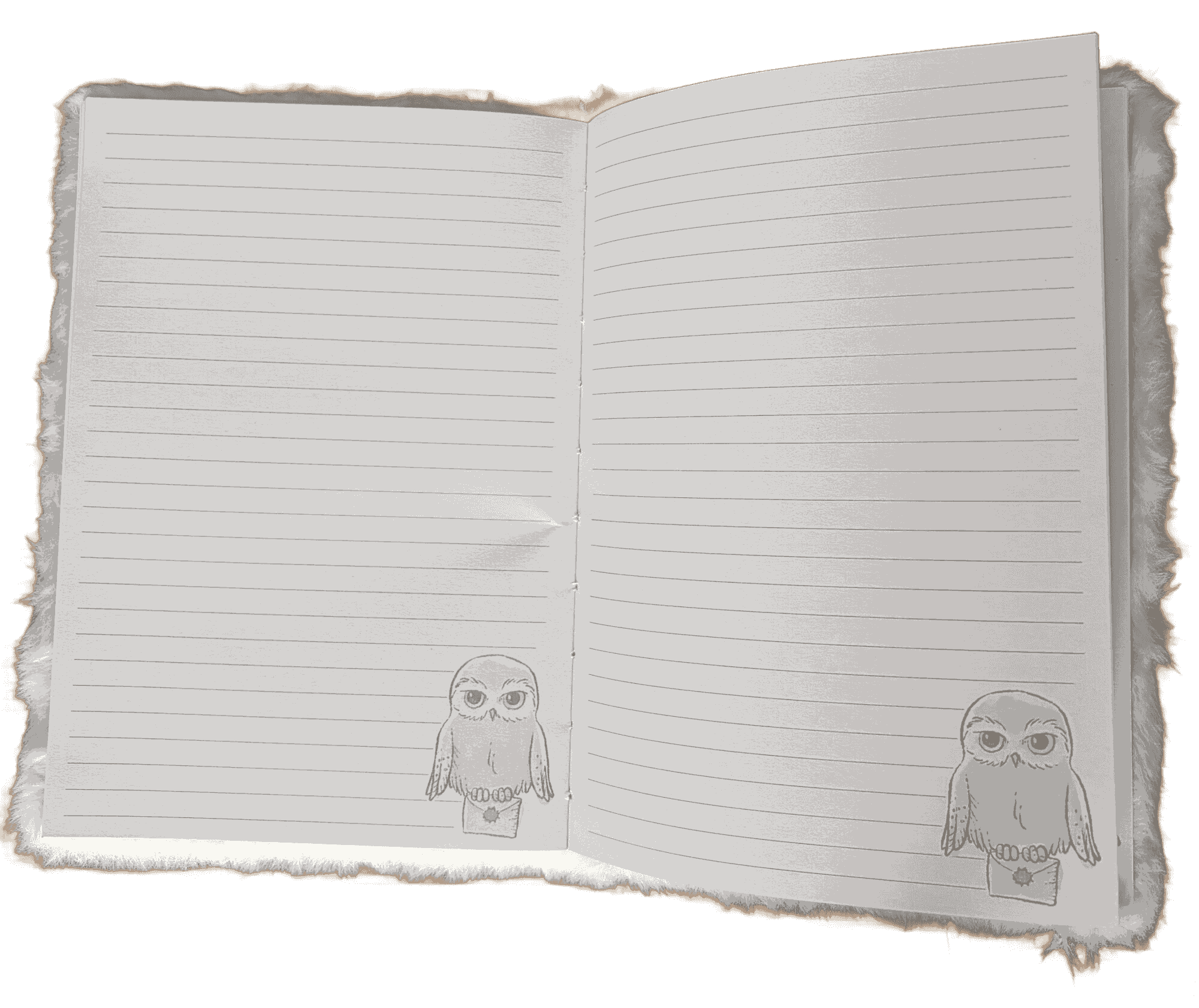 Carnet A5 Harry Potter Hedwig