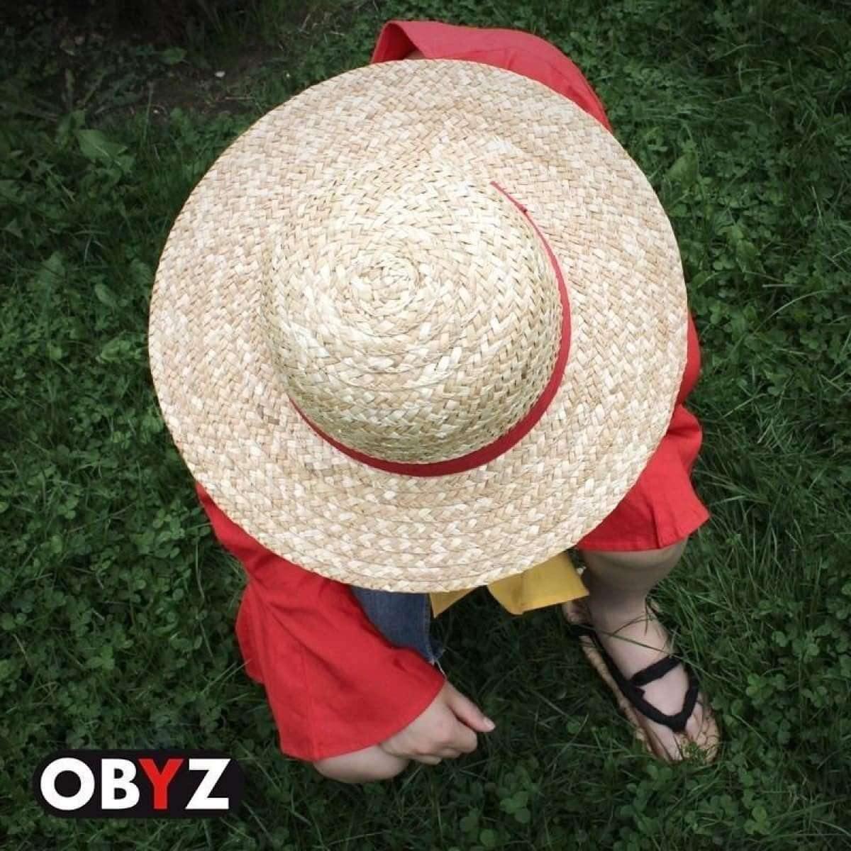 Chapeau de paille One Piece Luffy Geek Store