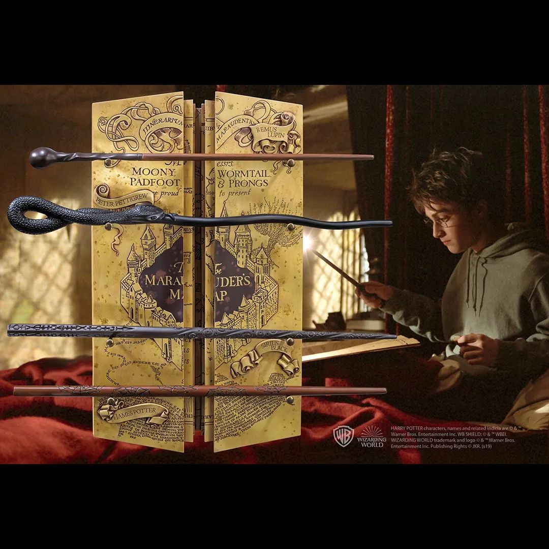 Présentoir 4 baguettes Harry Potter La carte du maraudeur