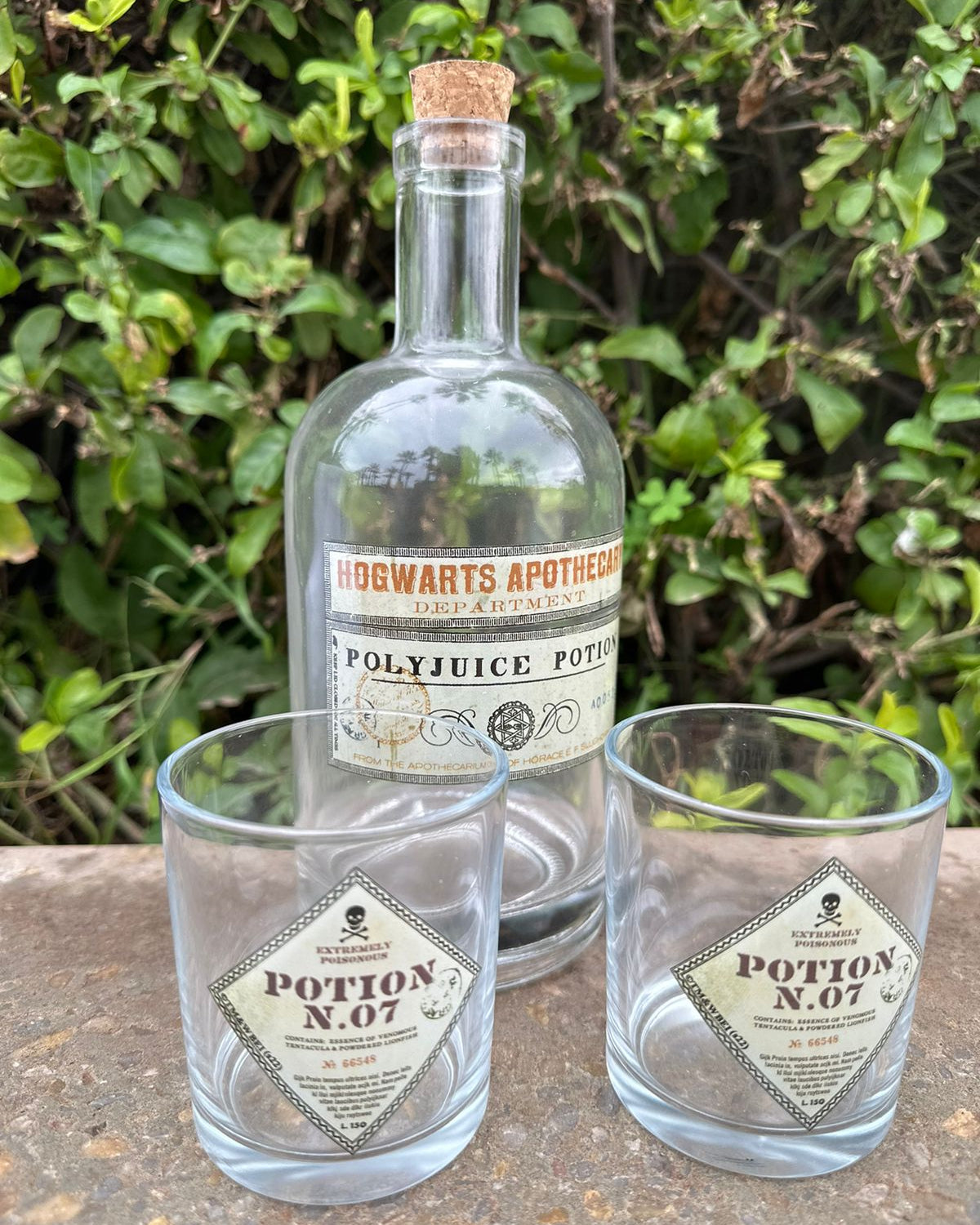 Set bouteille et verres Potion Harry Potter