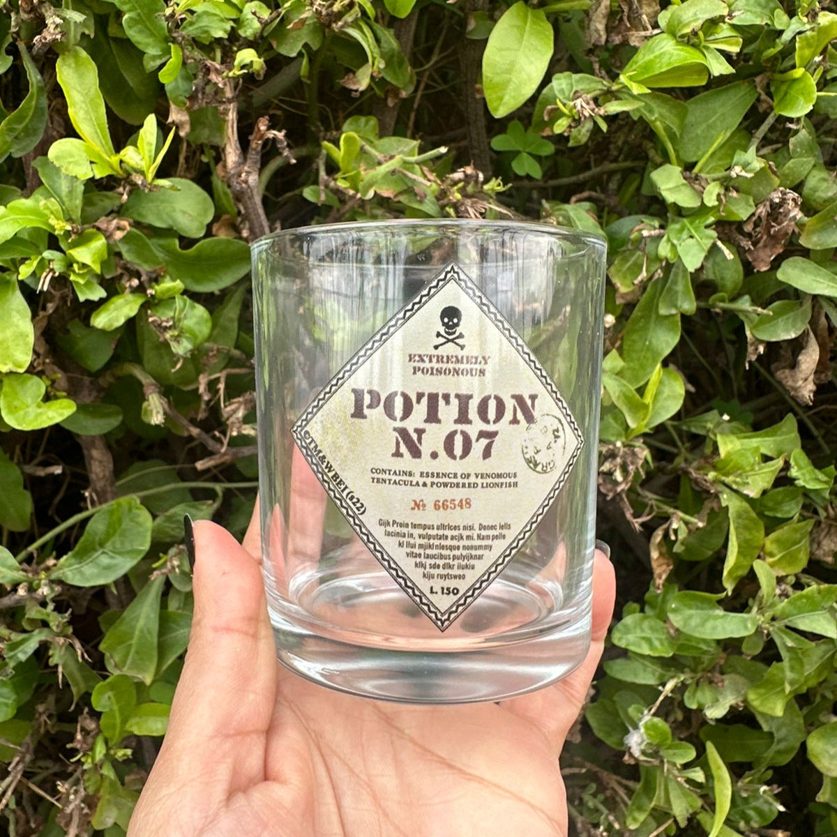 Set bouteille et verres Potion Harry Potter