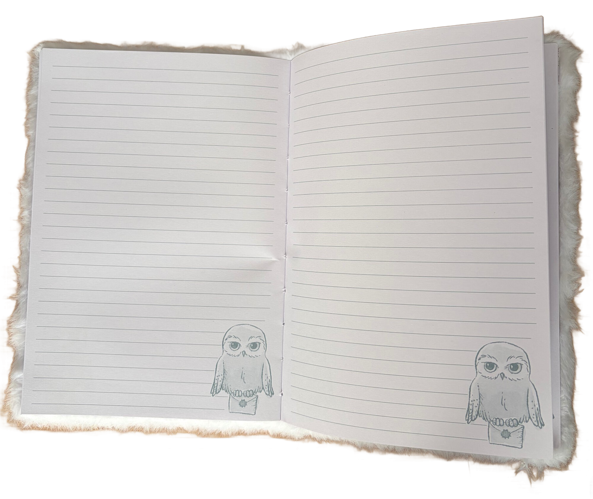 Carnet A5 Harry Potter Hedwig