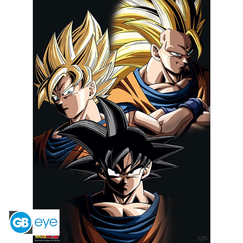 Set 2 Posters Dragon Ball Goku & Shenron