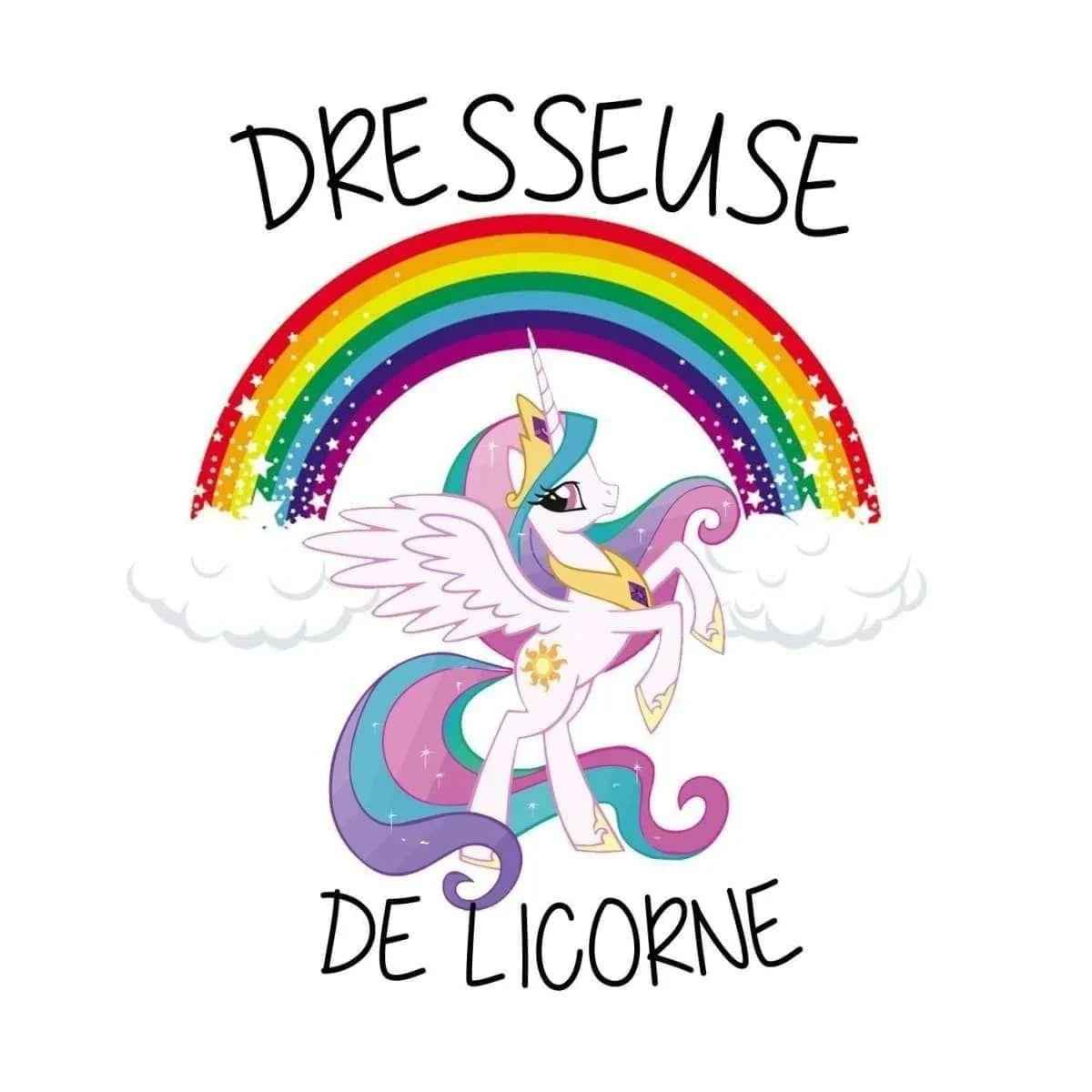 Tshirt Dresseuse de Licorne - Geek Store